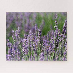 Honeybees on Lavender Flowers Jigsaw Puzzle