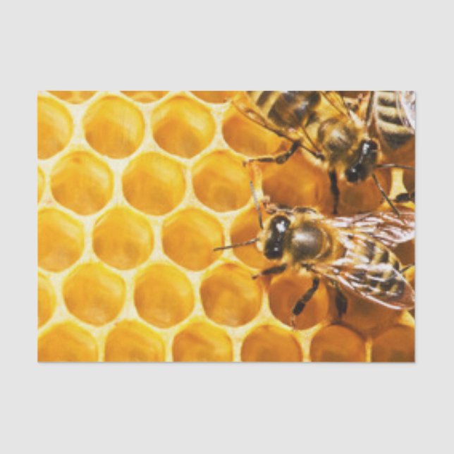 Honeycomb and Bees Pattern Design Tissue Paper (Front)