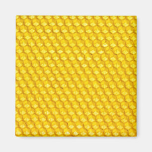 Honeycomb Magnet