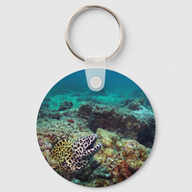 Honeycomb moray eel keychain (Front)