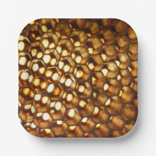 Honeycomb Paper Plate, beekeeper party, Plate