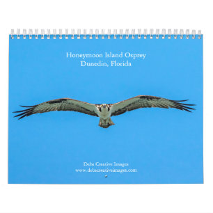 Honeymoon Island Osprey 2025 Calendar
