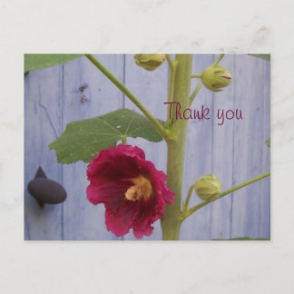 Honeysuccle vous remercient carte postale
