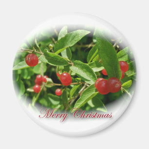Honeysuckle Berries Christmas Magnet
