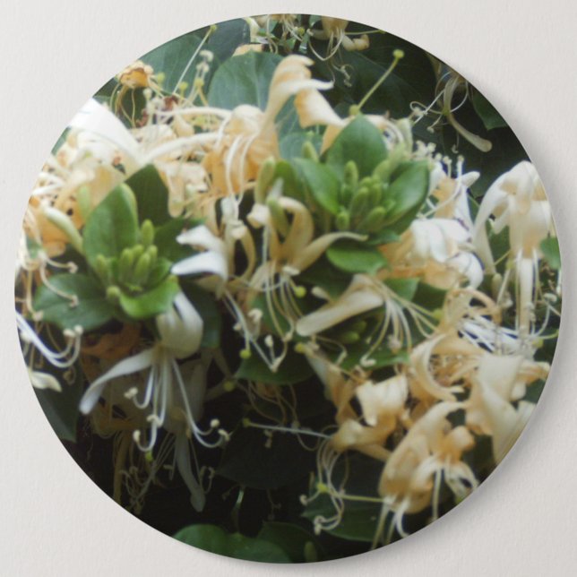 Honeysuckle Blooms 6 Inch Round Button (Front)