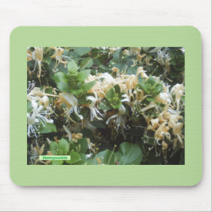 Honeysuckle Blooms Mouse Pad