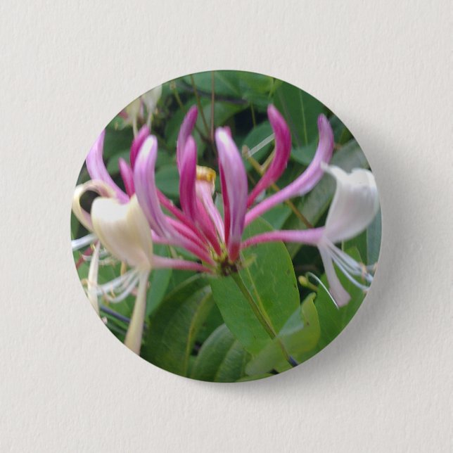 Honeysuckle Flower Button (Front)