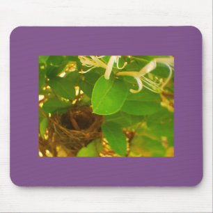 Honeysuckle Hummingbird Nest Mouse Pad