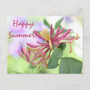 Honeysuckle Postcard