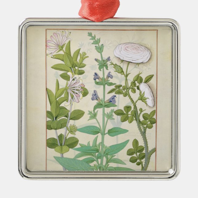 Honeysuckle, Sage and Rose Metal Ornament (Front)