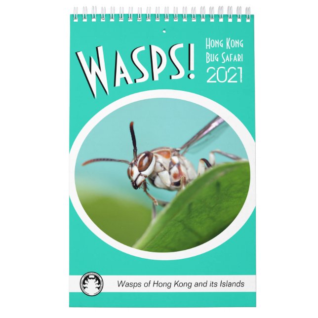 Hong Kong Wasps Calendar (Cover)