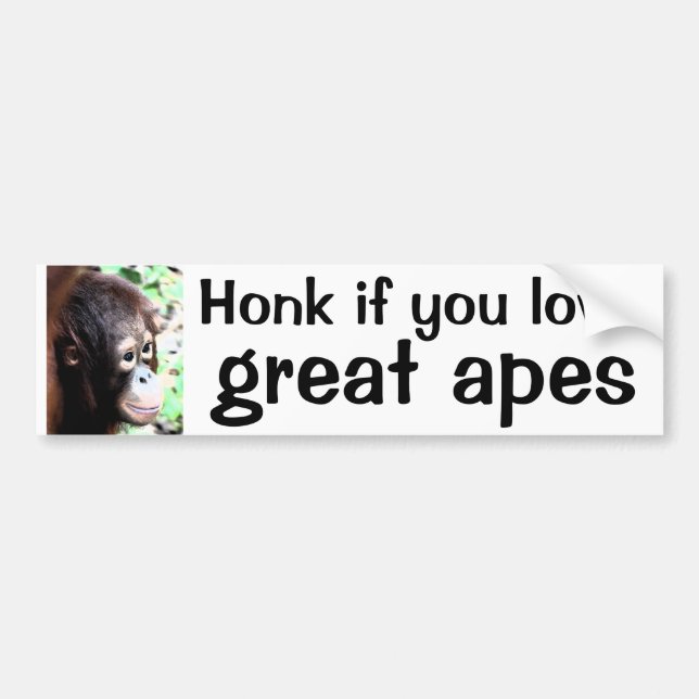 Honk if you love bumper sticker (Front)