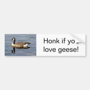 "Honk if you love geese" bumper sticker