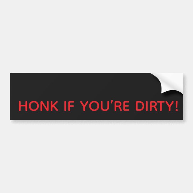 HONK IF YOU’RE DIRTY! BUMPER STICKER (Front)