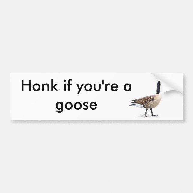 Honk if you're a goose bumper sticker (Front)