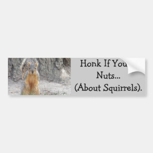 Honk If You're Nuts...About Squirrels Bumper Sticker