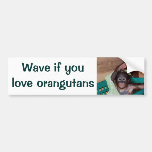 Honk or Wave If You Love Orangutans Bumper Sticker