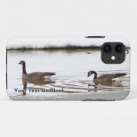 Honkers - Canada Geese