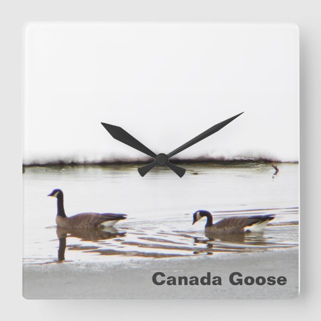 Honkers - Canada Geese Square Wall Clock (Front)