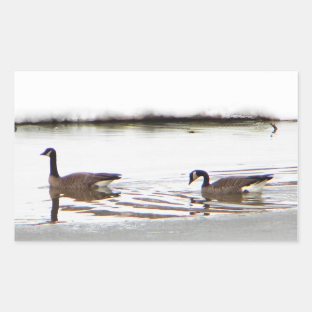 Honkers - Canada Geese Sticker (Front)