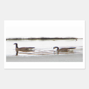 Honkers - Canada Geese Sticker