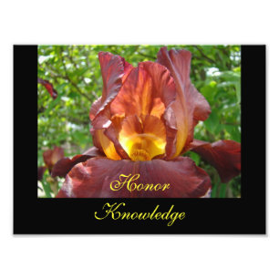 Honour Knowledge Teaching art prints Iris Flowers
