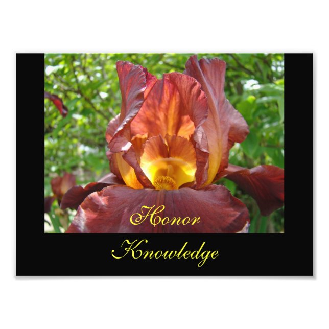 Honour Knowledge Teaching art prints Iris Flowers (Front)