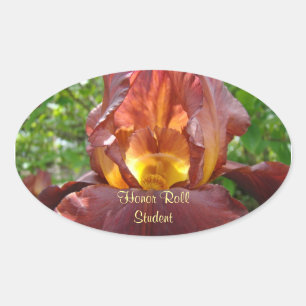 Honour Roll Student stickers custom School