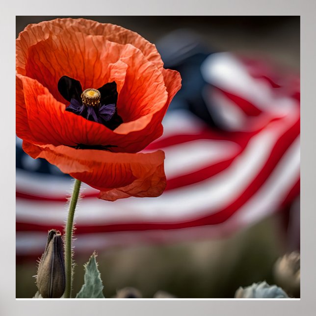 Honour those that gave all  poster (Front)