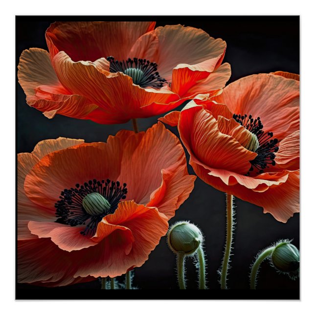 Honour those that gave all  poster (Front)
