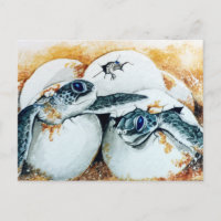 Honu Hatchling Eggs (Green Sea Turtle)
