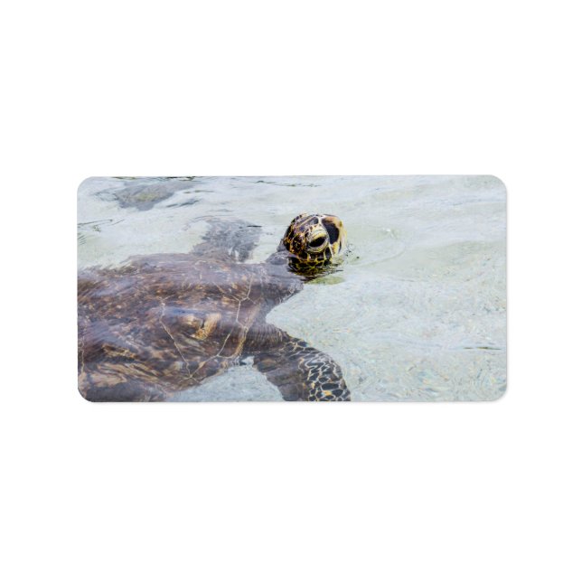 Honu Hawaiian Sea Turtle - Hawaii Turtles Label (Front)