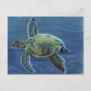 Honu Postcard