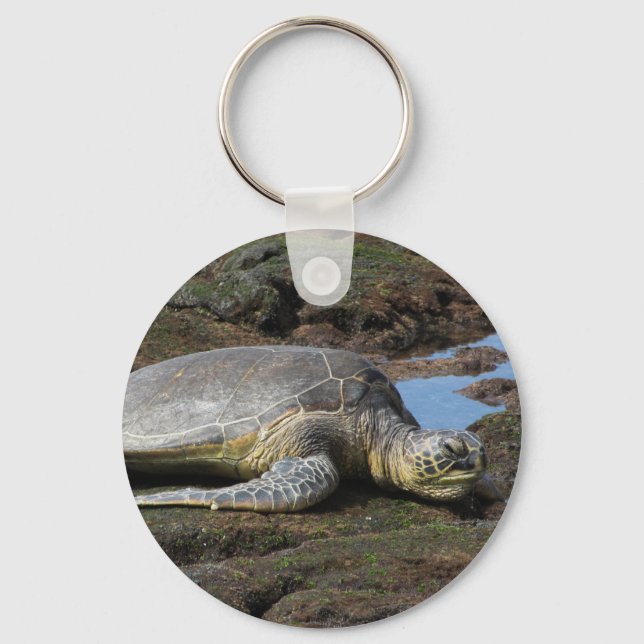Honu Resting on the Warm Rocks Keychain (Front)