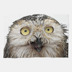 Hoo Are You? Owl Who Are You? Kitchen Towel