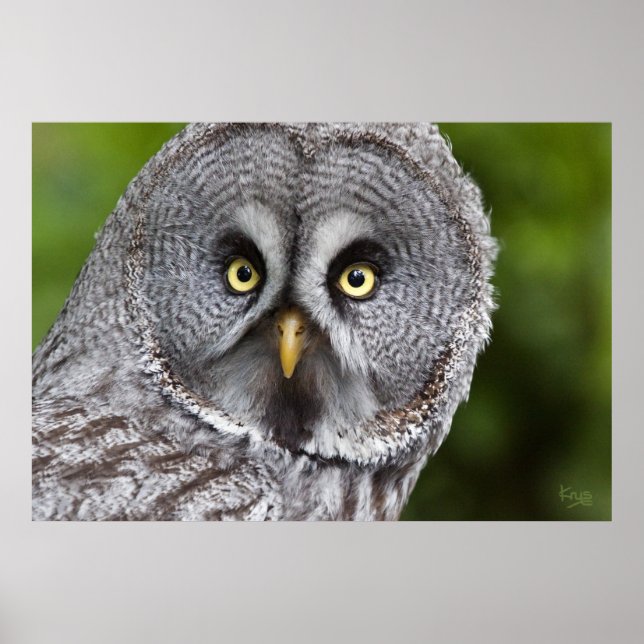 Hoo are You Print (Front)