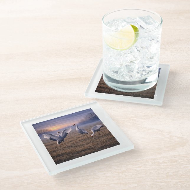 Hooded Cranes in Winter -  Glass Coaster (Angled)