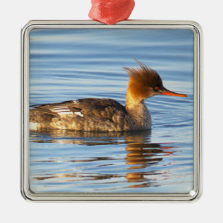 Hooded Merganser Duck Ornament