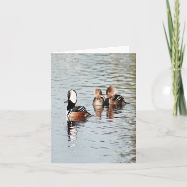 Hooded Merganser Duck Photo Folded Note Card (Front)
