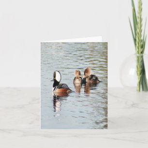 Hooded Merganser Duck Photo Folded Note Card