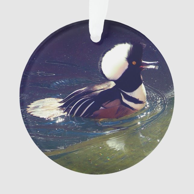 Hooded Merganser Ornament (Front)