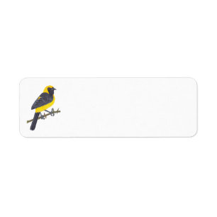 HOODED ORIOLE