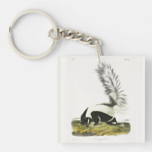 Hooded Skunk or Large-tailed Skunk from Audubon Keychain