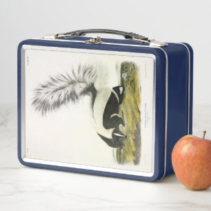 Hooded Skunk or Large-tailed Skunk from Audubon Metal Lunch Box