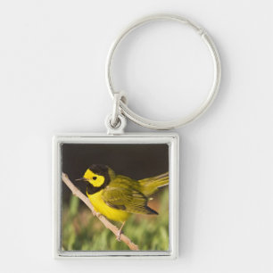 Hooded Warbler Wilsonia citrina) Keychain