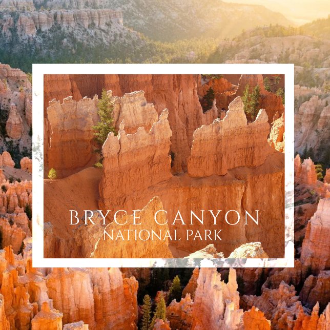 Hoodoos of Bryce Canyon National Park Postcard (Creator Uploaded)