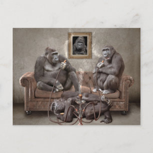 Hookah Smoking Apes Post Card
