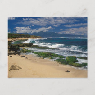 Hookipa Beach Maui Hawaii Postcard