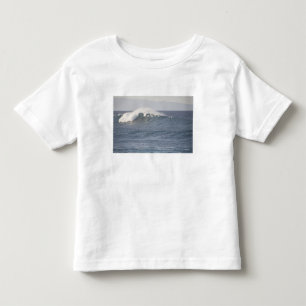 Hookipa Beach Park, North Shore of Maui, Toddler T-shirt