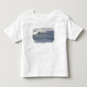 Hookipa Beach Park, North Shore of Maui, Toddler T-shirt